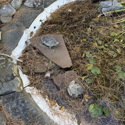 Sale Photo Thumbnail #170