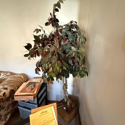 Sale Photo Thumbnail #158