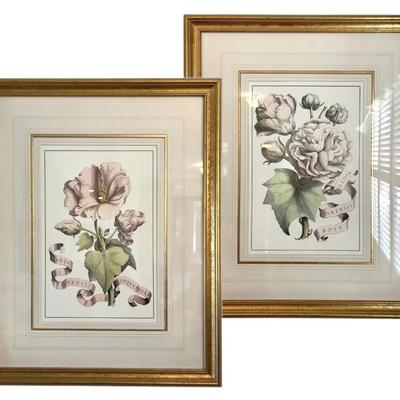 Two Framed Rosa Sinensis Floral Art Prints (28” x 22.5”)