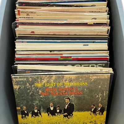 Mystery Vinyl Records!