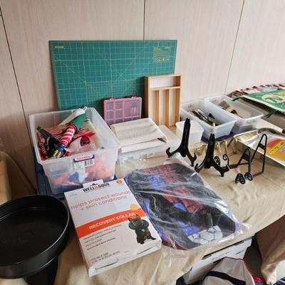 Sale Photo Thumbnail #8