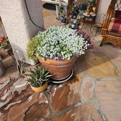 Sale Photo Thumbnail #74