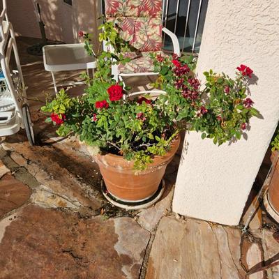 Sale Photo Thumbnail #95