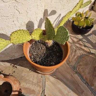 Sale Photo Thumbnail #84