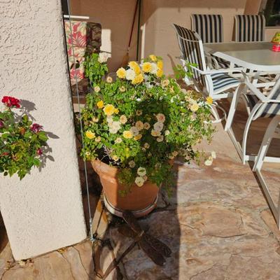 Sale Photo Thumbnail #94