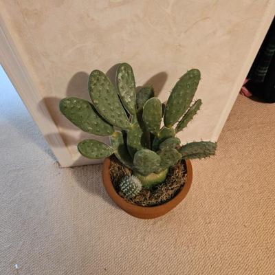 Sale Photo Thumbnail #117