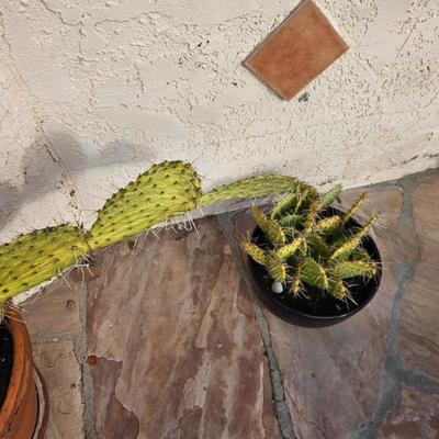 Sale Photo Thumbnail #83