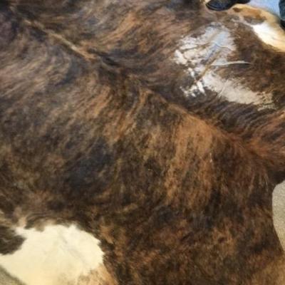 Sale Photo Thumbnail #268