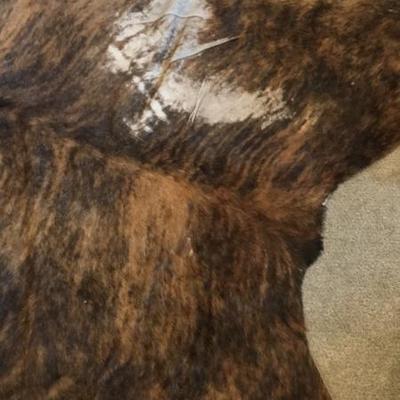 Sale Photo Thumbnail #270