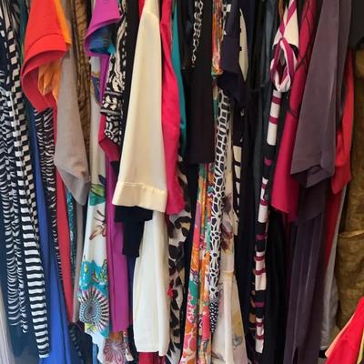 Women’s Dresses Collection in Sizes 12/14/L, Featuring Name Brands