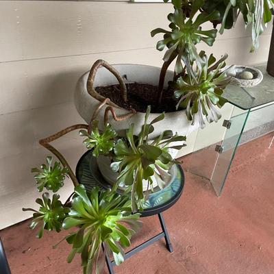 Sale Photo Thumbnail #150