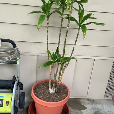 Sale Photo Thumbnail #162