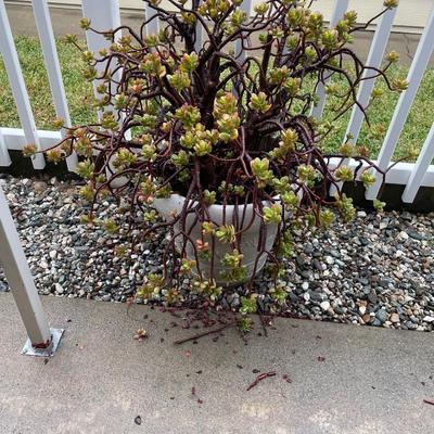 Sale Photo Thumbnail #166