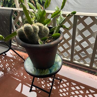 Sale Photo Thumbnail #152