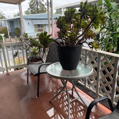 Sale Photo Thumbnail #154