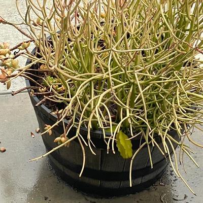 Sale Photo Thumbnail #160