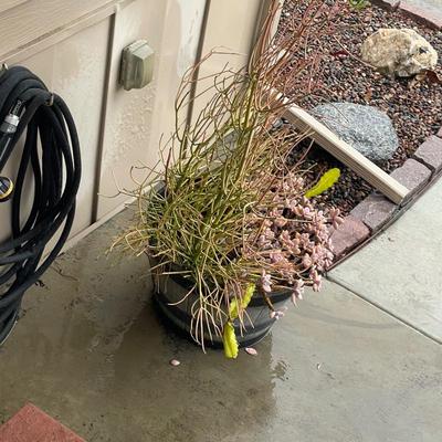 Sale Photo Thumbnail #159