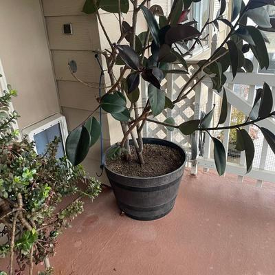 Sale Photo Thumbnail #157