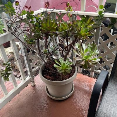 Sale Photo Thumbnail #158