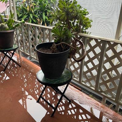 Sale Photo Thumbnail #148