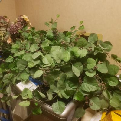 Sale Photo Thumbnail #48