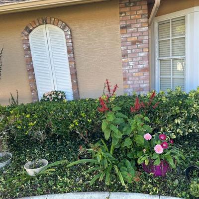 Sale Photo Thumbnail #92