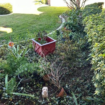 Sale Photo Thumbnail #89