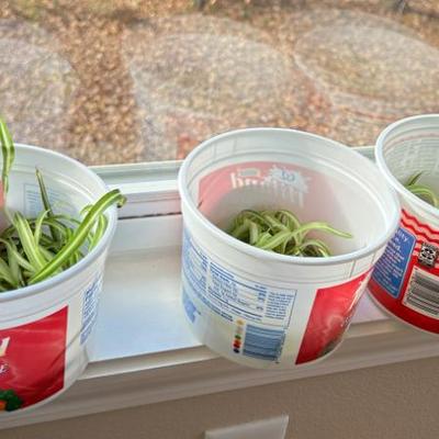 Sale Photo Thumbnail #77