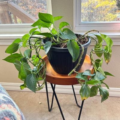 Sale Photo Thumbnail #20