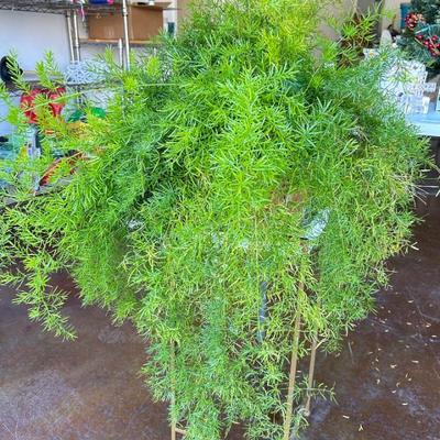 Sale Photo Thumbnail #31