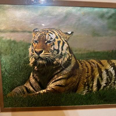 Sale Photo Thumbnail #82