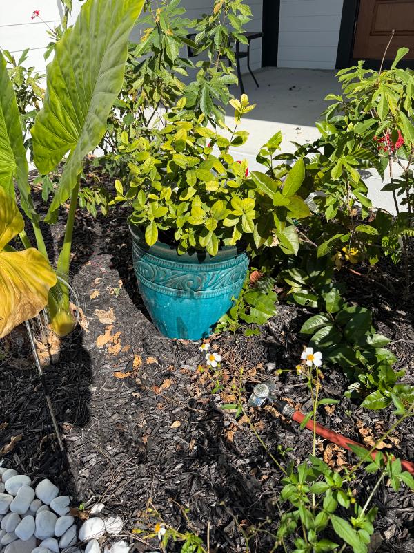 Sale Photo Thumbnail #3