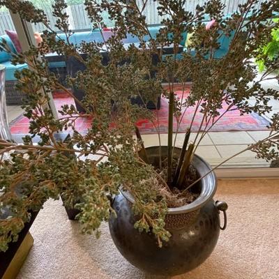 Sale Photo Thumbnail #111