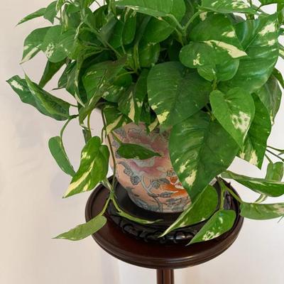 Sale Photo Thumbnail #156