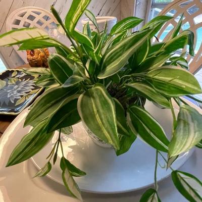 Sale Photo Thumbnail #248