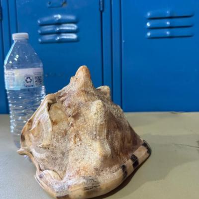 Sale Photo Thumbnail #30