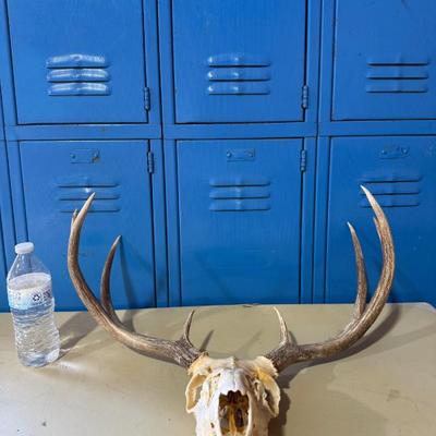 Sale Photo Thumbnail #29