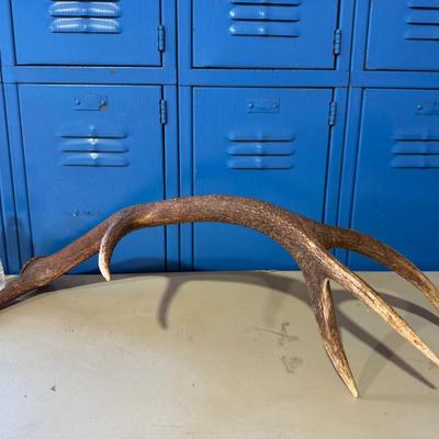 Sale Photo Thumbnail #27