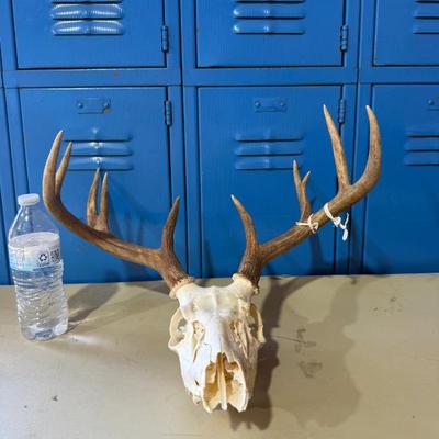 Sale Photo Thumbnail #28