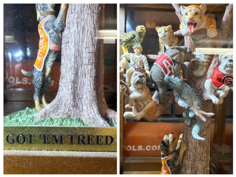 Sale Photo Thumbnail #38