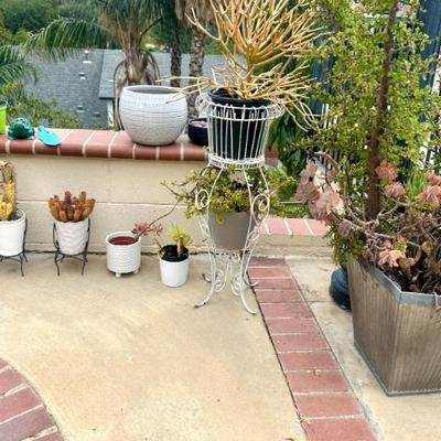 Sale Photo Thumbnail #166