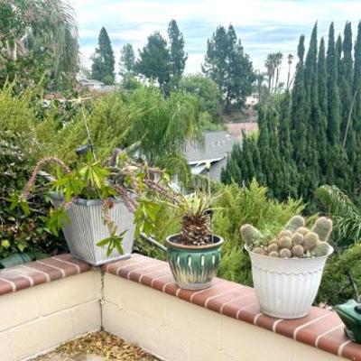 Sale Photo Thumbnail #167