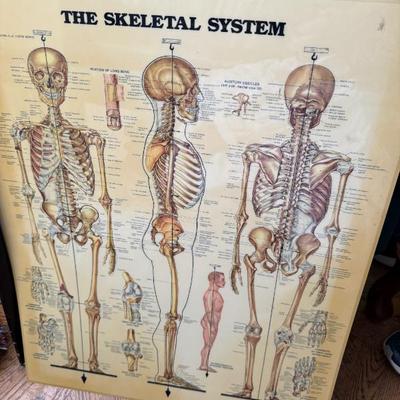 Sale Photo Thumbnail #144