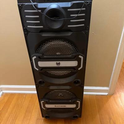 Blackmore Pro Audio Portable Bluetooth Speaker and Dj Mixing Capability