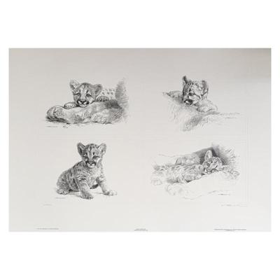 Sale Photo Thumbnail #27