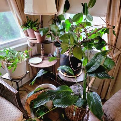 Sale Photo Thumbnail #18