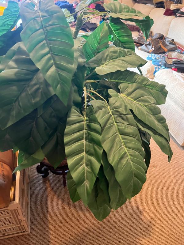 Sale Photo Thumbnail #14