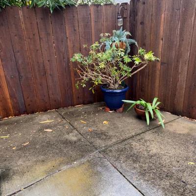 Sale Photo Thumbnail #95