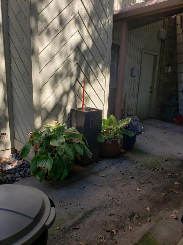 Sale Photo Thumbnail #14