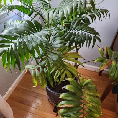 Sale Photo Thumbnail #174